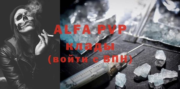 spice Богданович