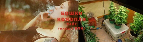 трава Струнино