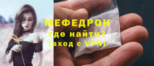 spice Богданович