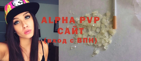 spice Богданович