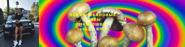 твердый Богородицк