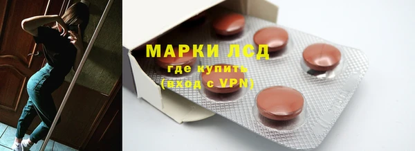 spice Богданович
