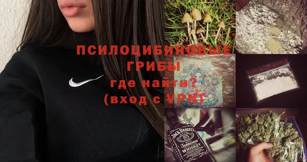 spice Богданович