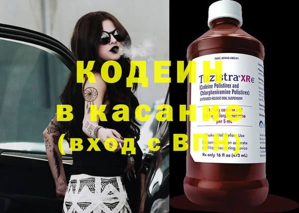 spice Богданович