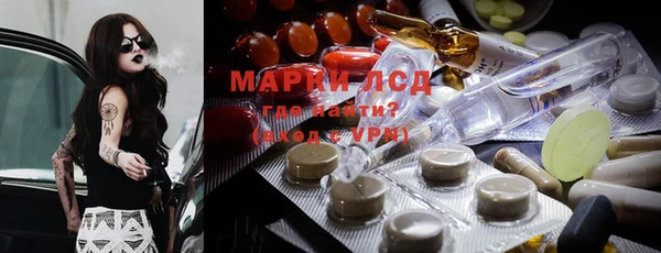 spice Богданович