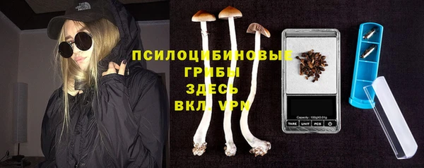 spice Строитель