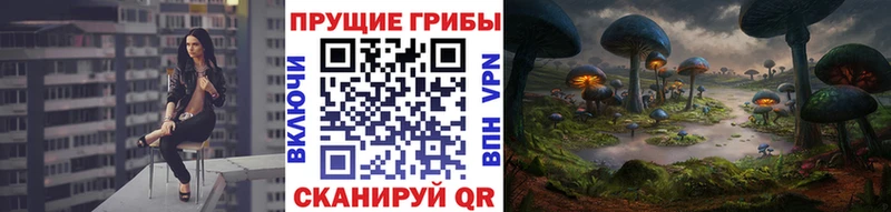 Галлюциногенные грибы Cubensis Бугульма