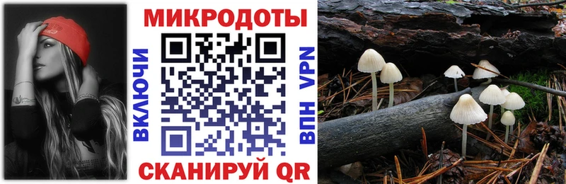 Псилоцибиновые грибы прущие грибы  Бугульма 